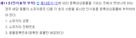 강아지와 외출 시 칩 & 인식표 총정리!