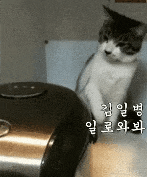 군대냥