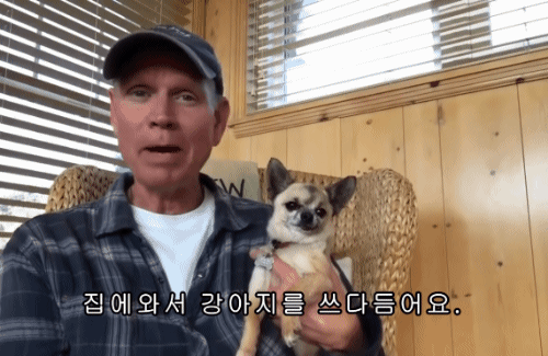 강아지를 쓰다듬는건 세상에서 가장 편한 휴식입니다.