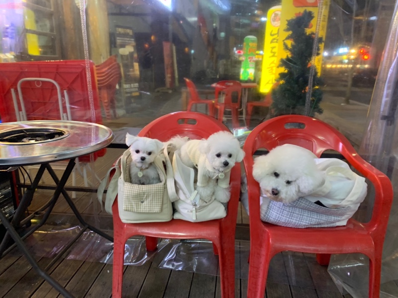 야당곱창