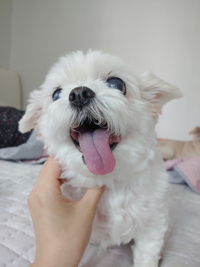우리집애기 자랑😙