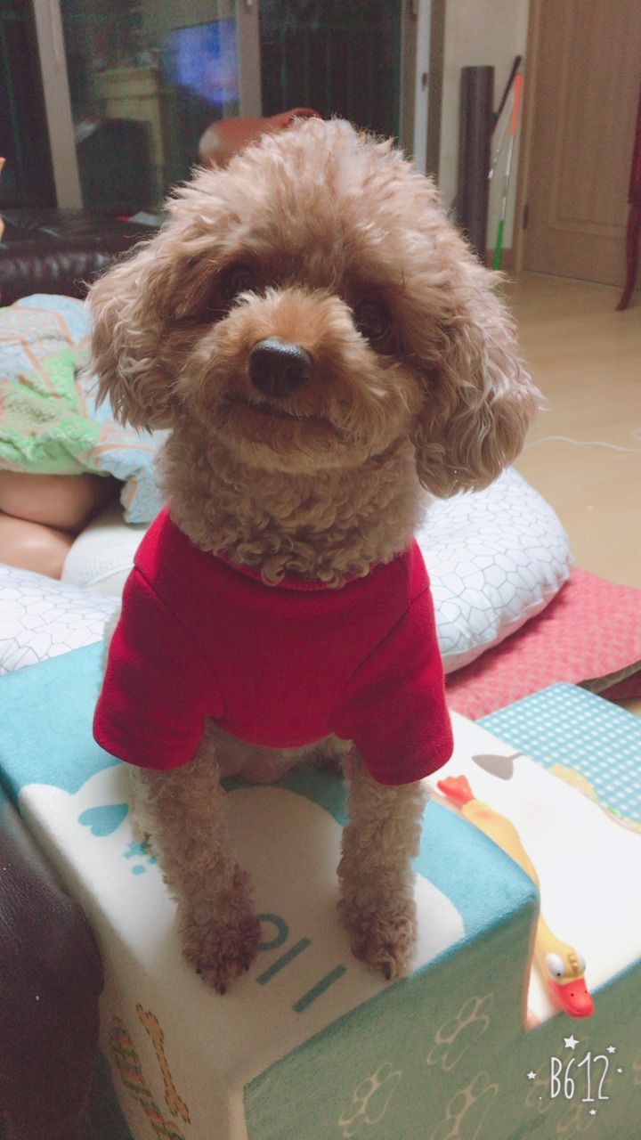 커엽