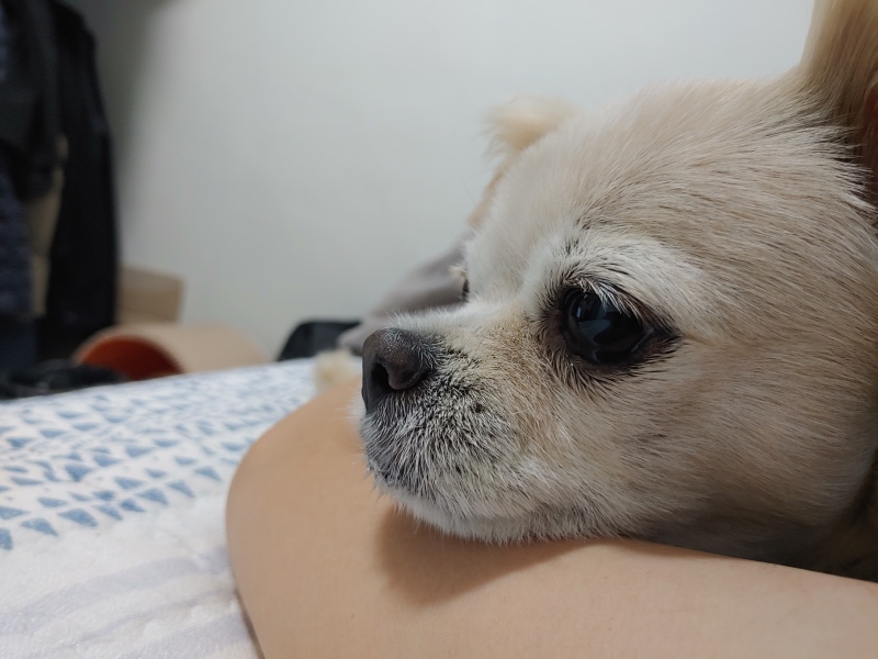 예쁘니 입니당🤍 맨날 이케 하구 자기