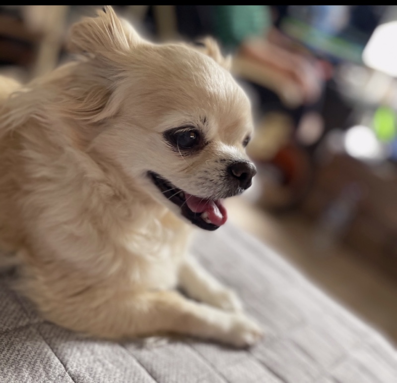 화보야 화보 🥰