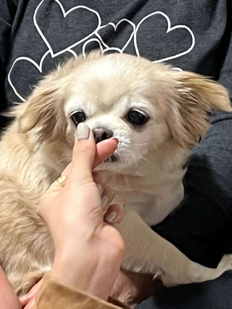 먹는거 아니야 마음이야🤍