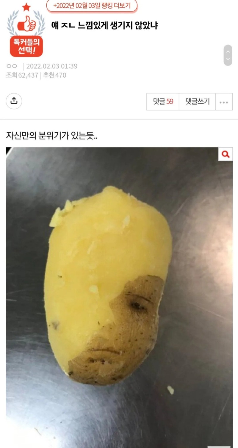 얘 뭔가 느낌있게 생기지 않음? 