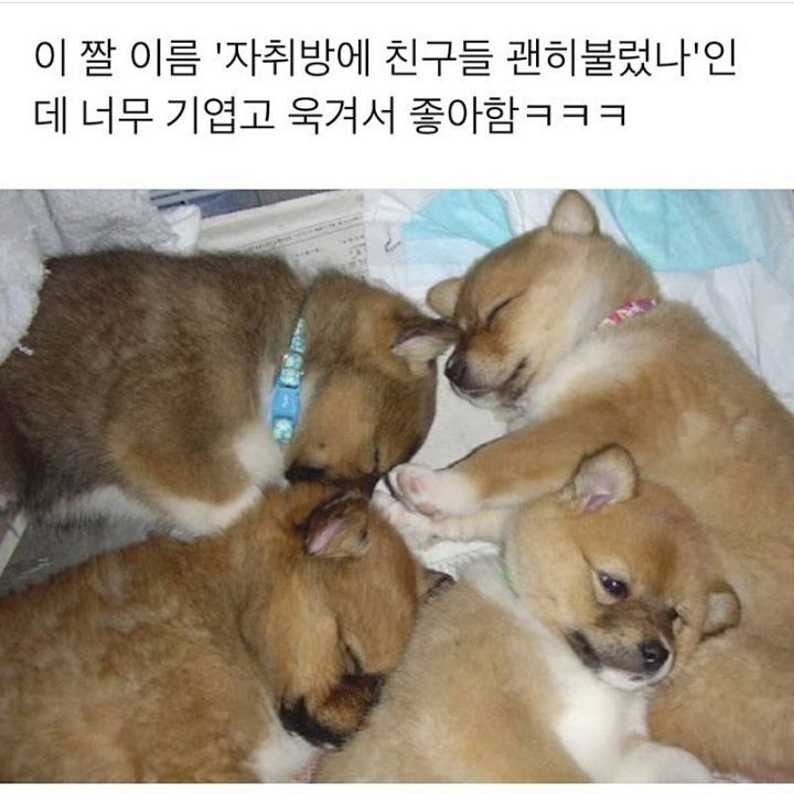자취방에 친구들 괜히불렀나