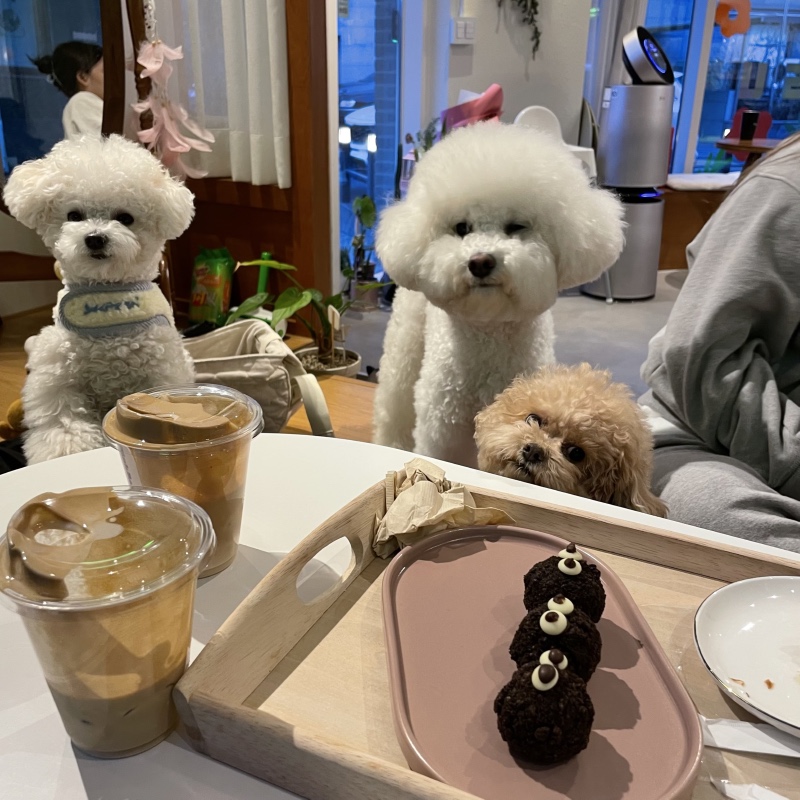 핑크바케스 파주점