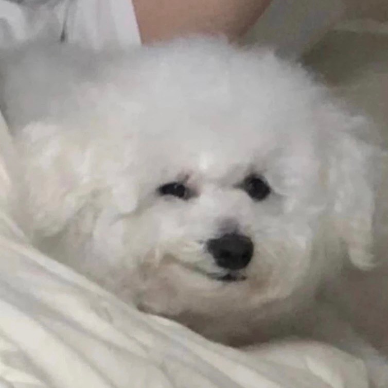 KakaoTalk_20220212_214609386.jpg
