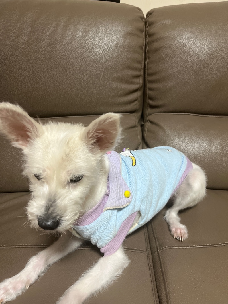 안녕하세요
