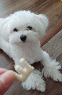 오빠가했던공부 나도하는데 ㅡㅡ