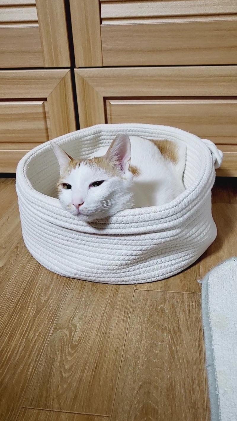 VideoCapture_20220209-214924.jpg