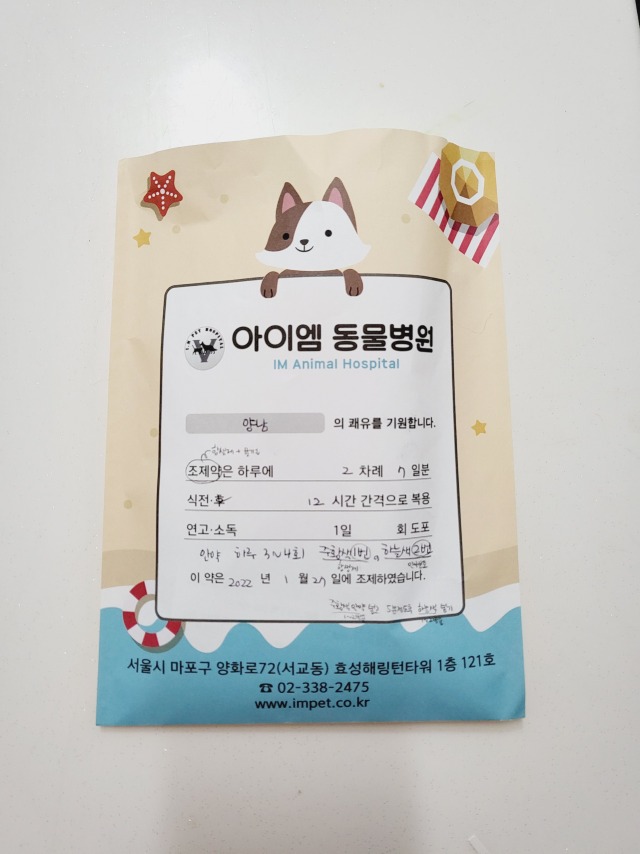 무릎냥이가 반겨주는 아이엠동물병원 
