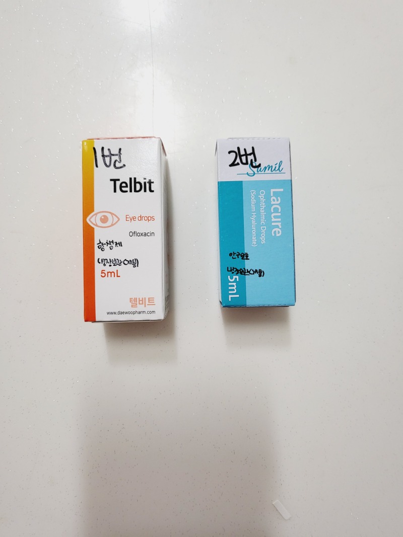 무릎냥이가 반겨주는 아이엠동물병원 