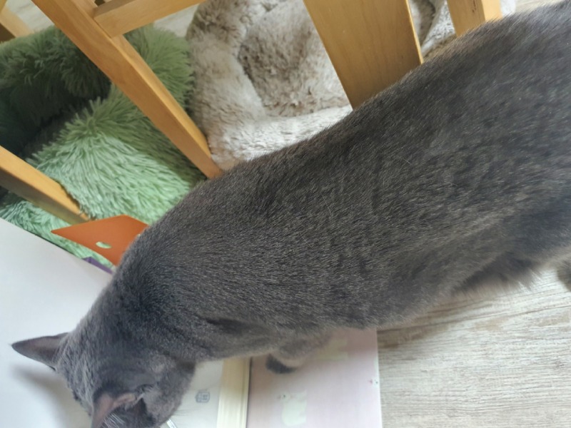 KakaoTalk_20220216_103120039_02.jpg