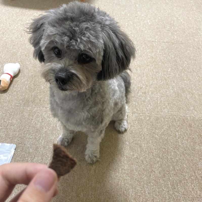 나니이모 수제간식