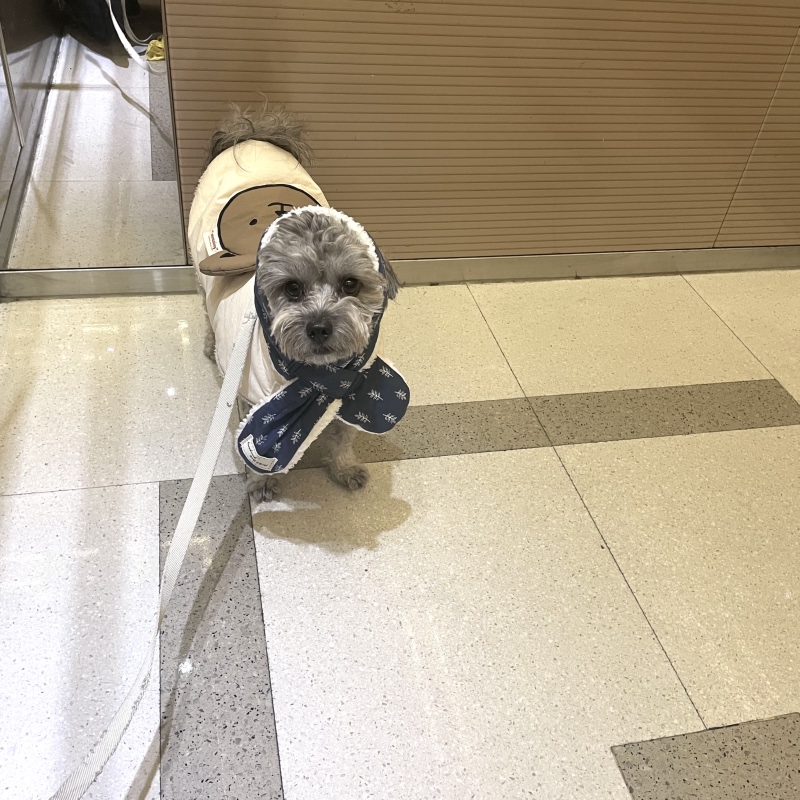 다들 추위 조심하세요 ~~