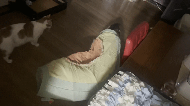 kakaotalk＿1642461332691＿2.gif