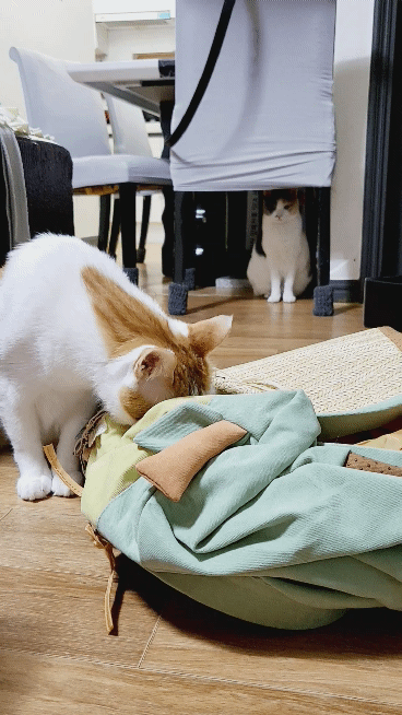 20220112＿210705＿2.gif