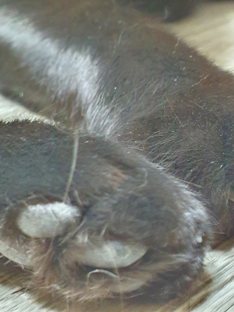 KakaoTalk_20220217_110742084_01.jpg