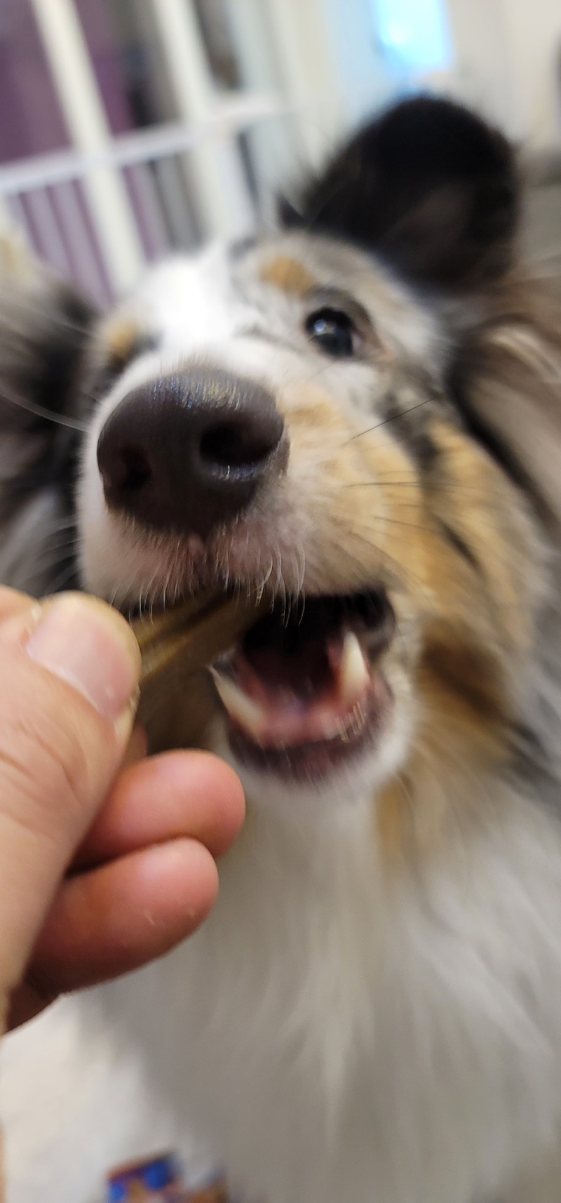 20220118_212307.jpg