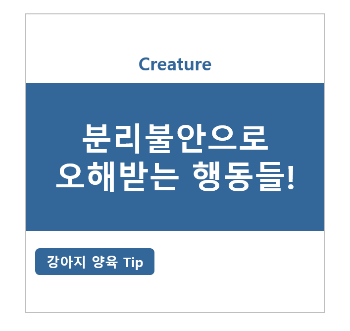 분리불안으로 오해받는 행동들!