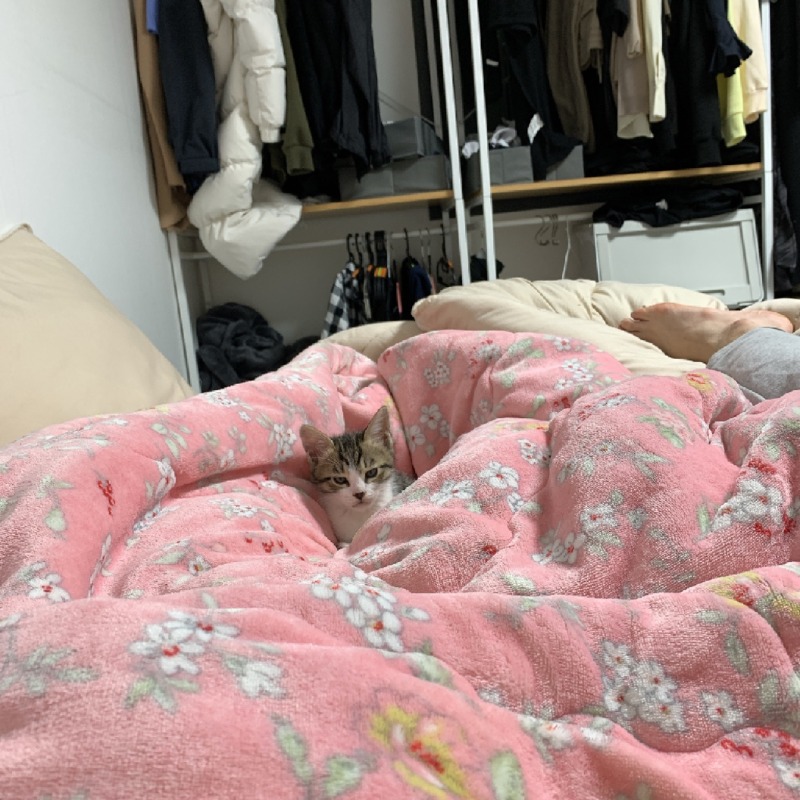 우리집 바미