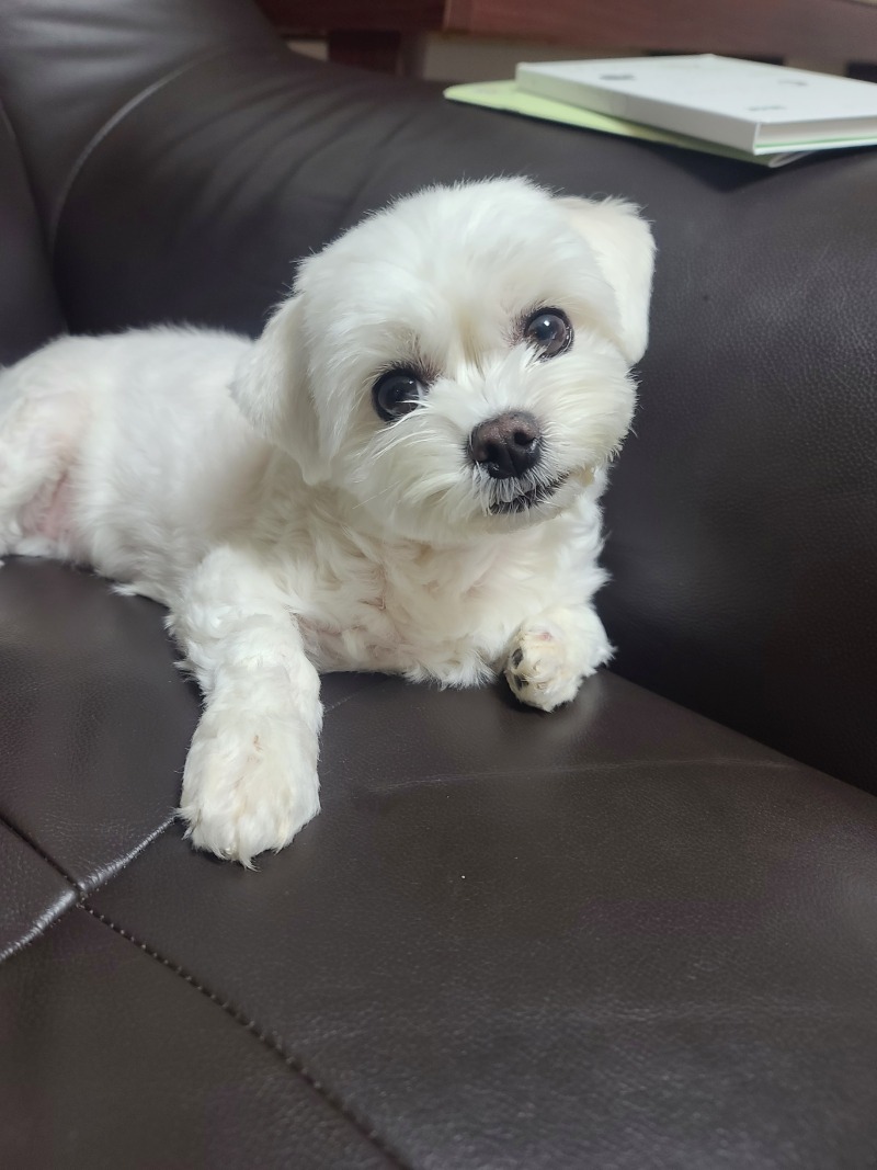 간식 언제주꼬양?