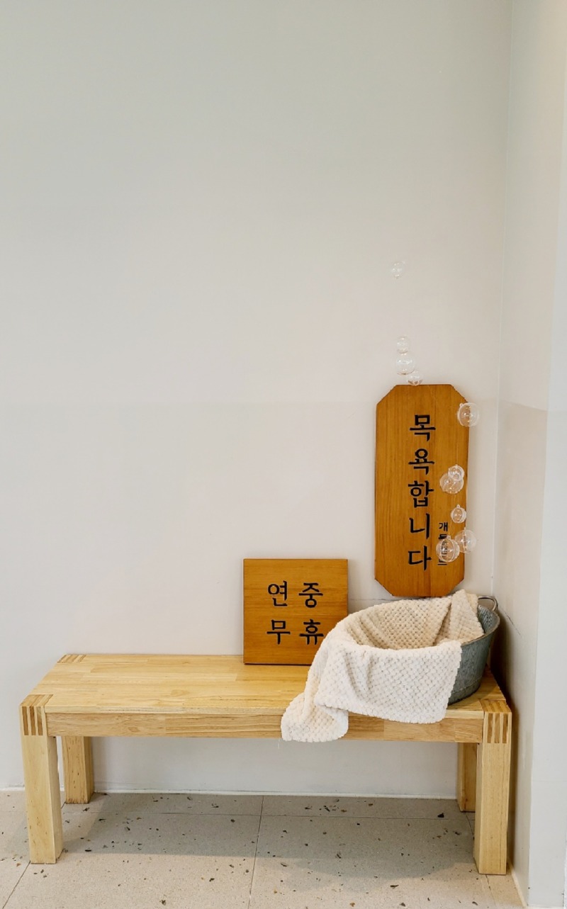 울산 근교, 부산에서 가까운 반려견 운동장 개들랜드!