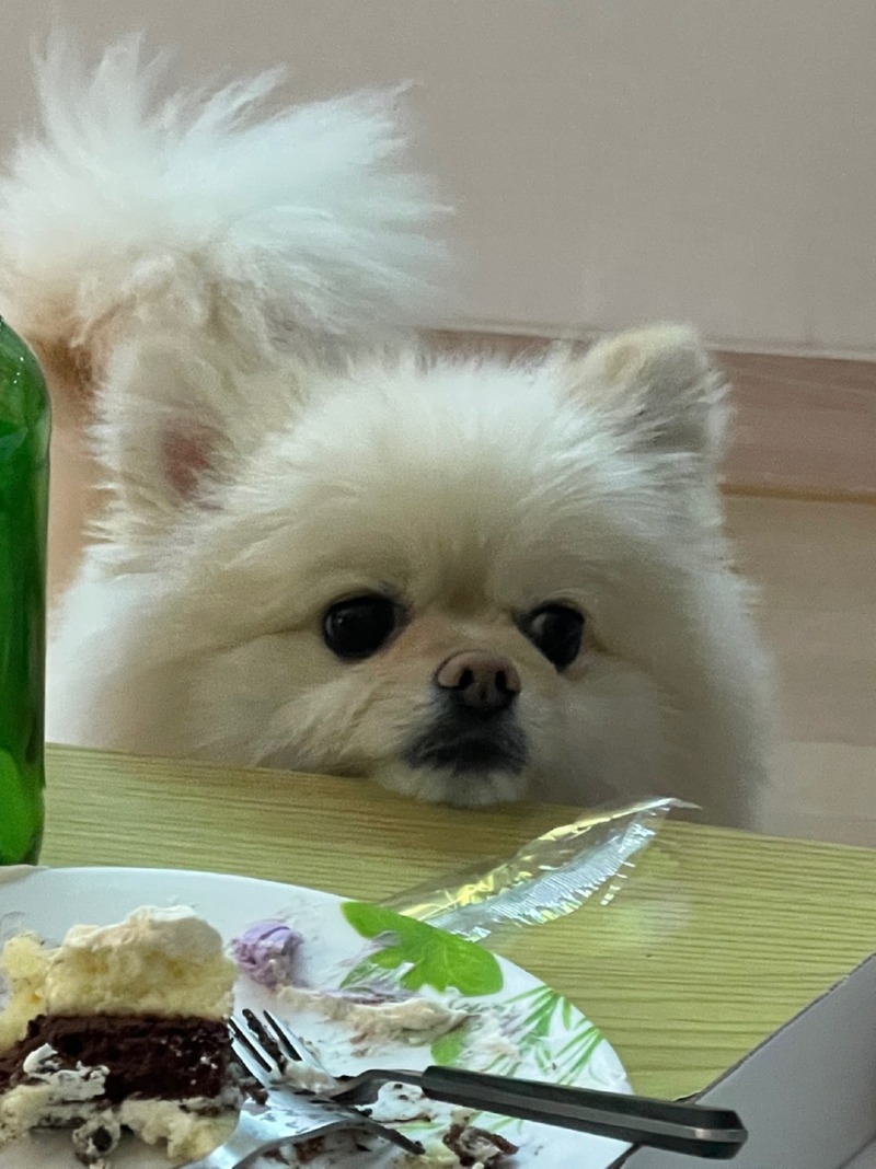 나도...한입만...
