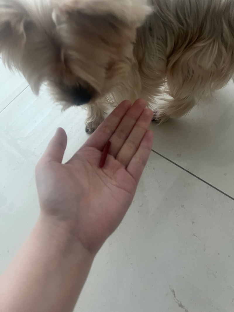 FCF66CE3-458B-4003-B2F9-C1A77709A7AF.jpeg