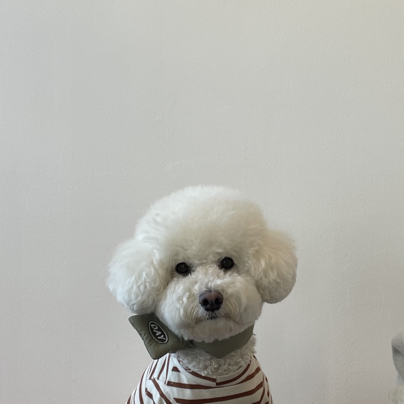 하울픽스