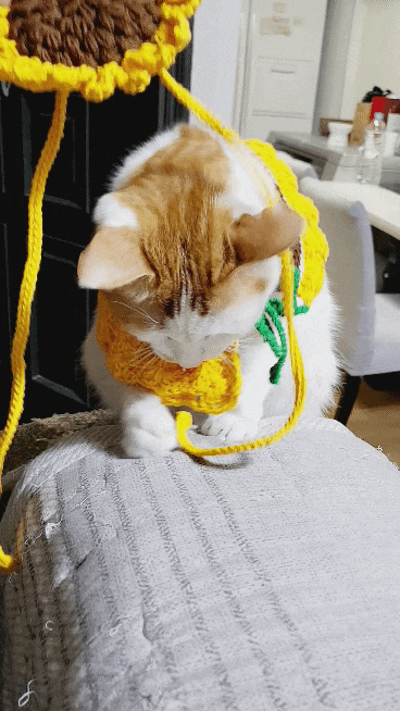 20220215＿200359＿2.gif