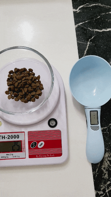 20220112＿204757＿2.gif