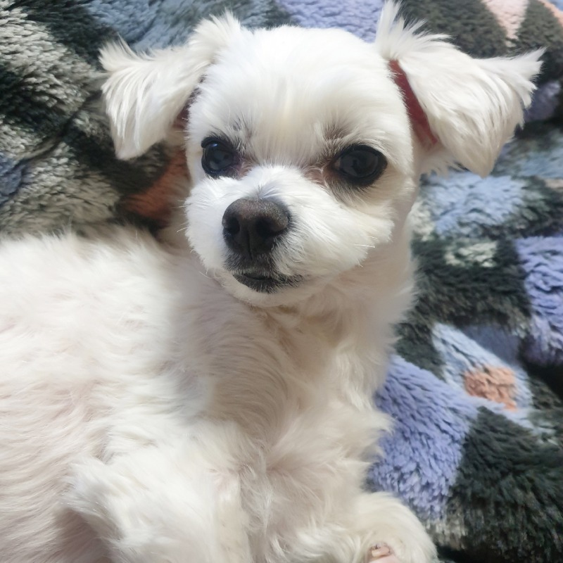 잘생겨또💗