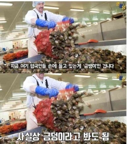 한국 덕분에 생계 유지 중인 영국인들..