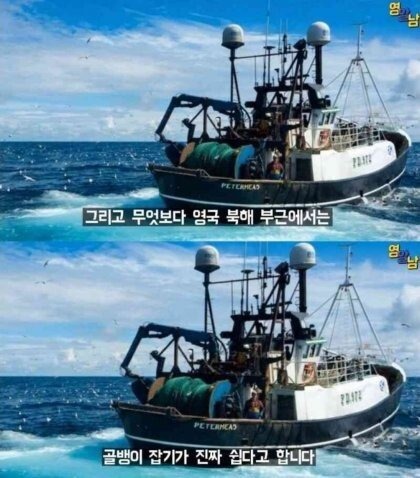 한국 덕분에 생계 유지 중인 영국인들..