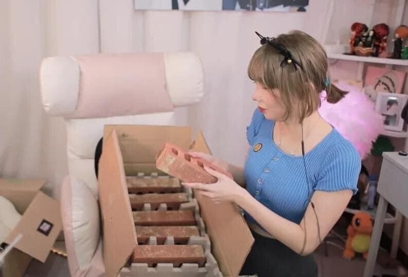 인터넷방송 스트리머에게 리얼돌을 보냄.jpg