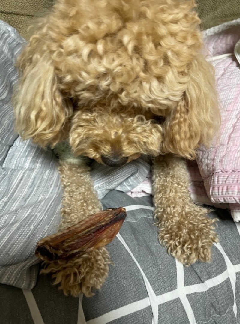 KakaoTalk_20220303_144538977_01.jpg
