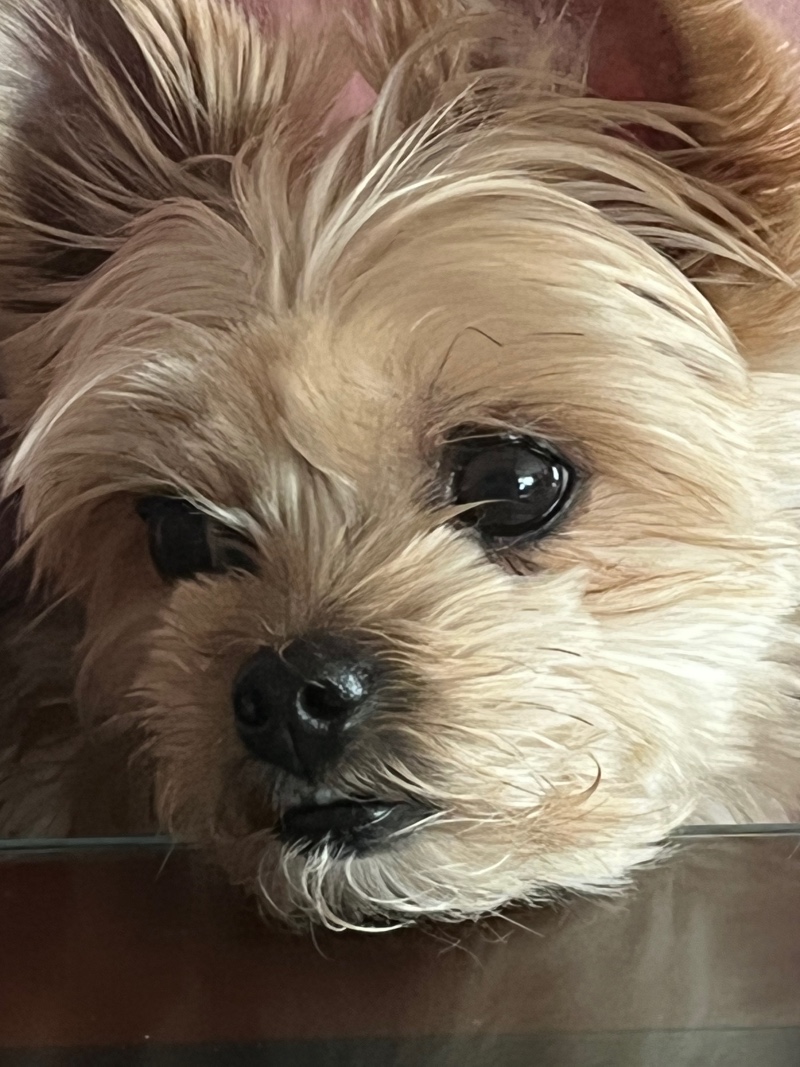 07807123-AAA0-4D32-96B6-1F28E5A9B715.jpeg