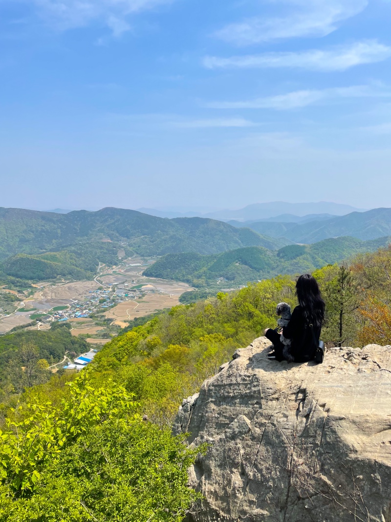 경주여행 필수 코스 화랑의 언덕 ~