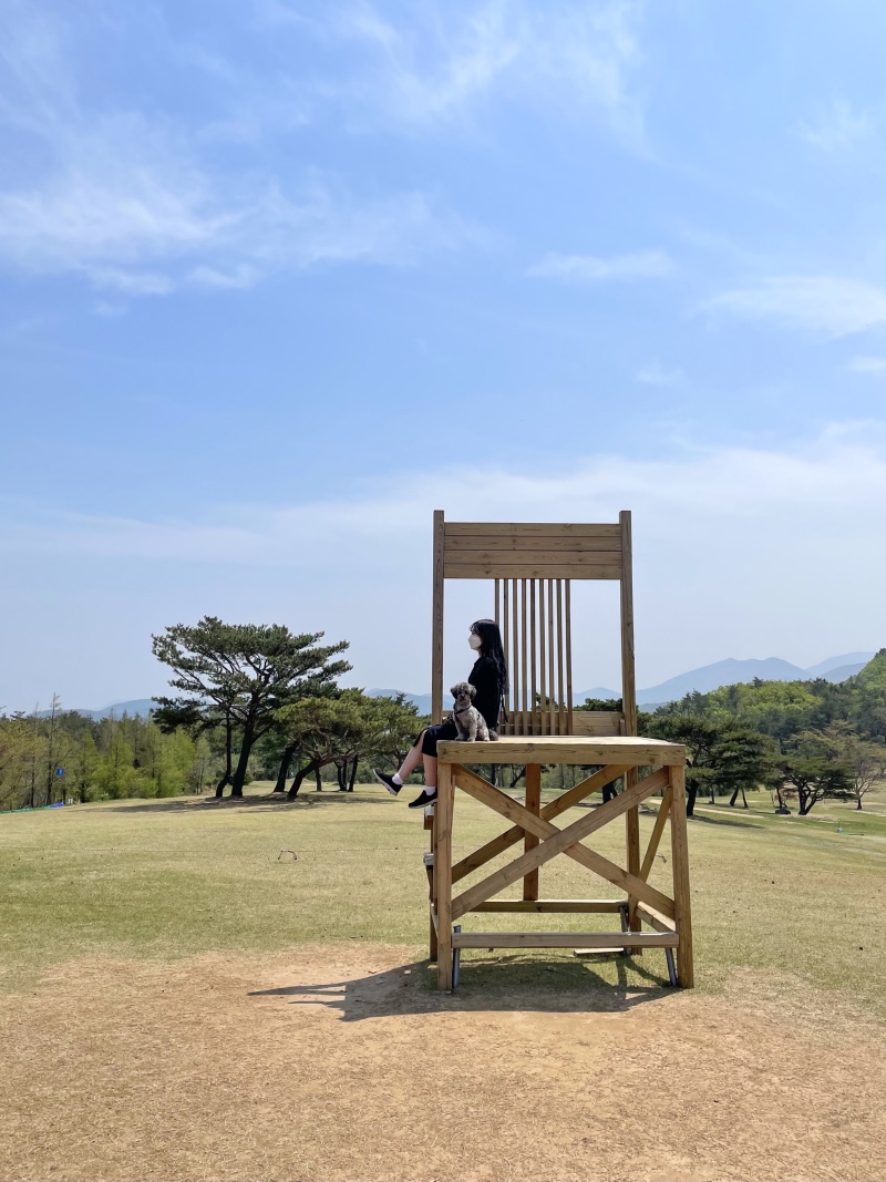 경주여행 필수 코스 화랑의 언덕 ~