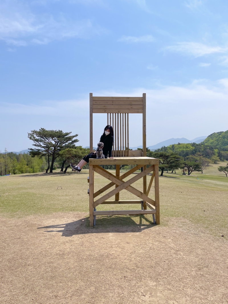 경주여행 필수 코스 화랑의 언덕 ~