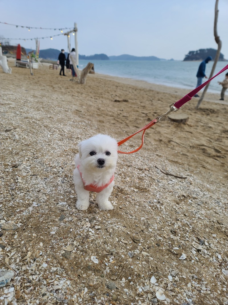 콧바람쐬구와쪕♡
