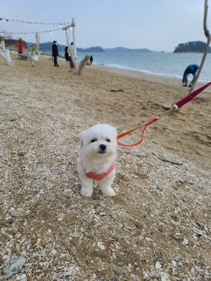 콧바람쐬구와쪕♡
