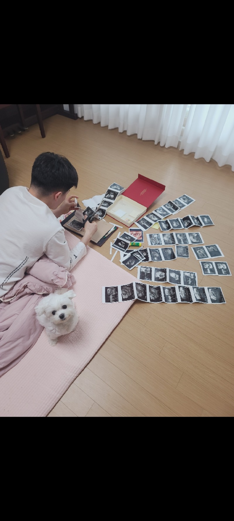나 동생 둘이나 생기는거 실화양?