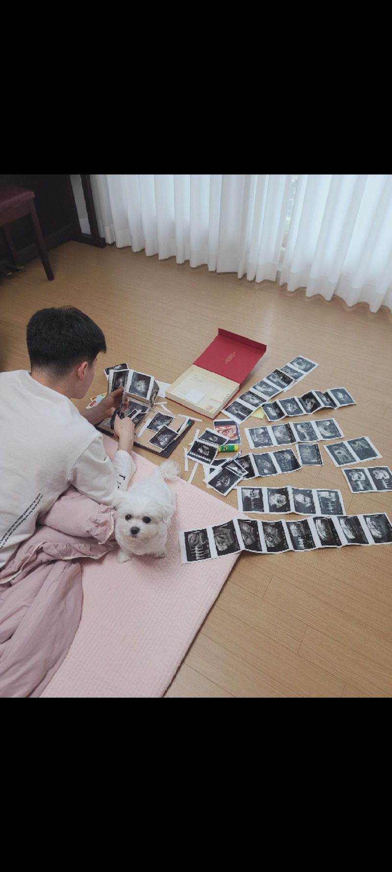 나 동생 둘이나 생기는거 실화양?