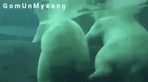 발차기 맞고 아픈 곰