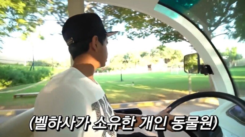 3조를 보유한 16살의 하루일과..