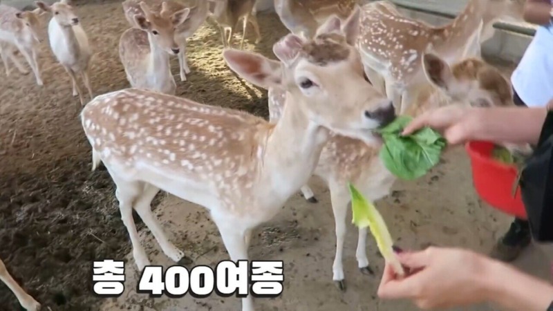 3조를 보유한 16살의 하루일과..